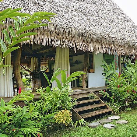 אוטורואה Island Home מראה חיצוני תמונה