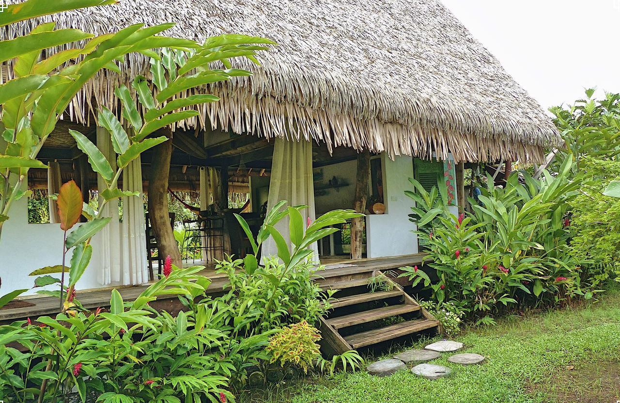 אוטורואה Island Home מראה חיצוני תמונה